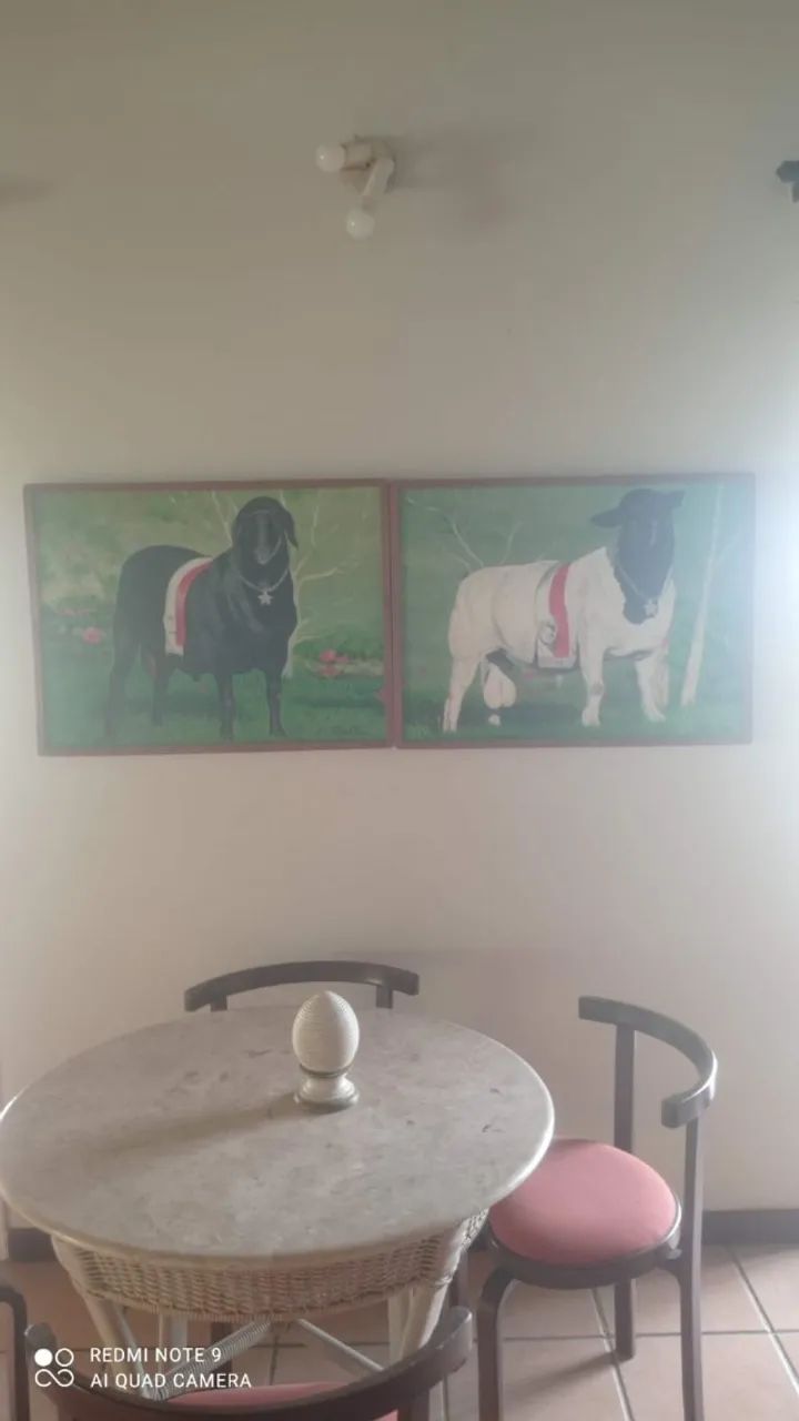 FAZENDA EM SÃO GONÇALO - 50 TAREFAS - Foto 4