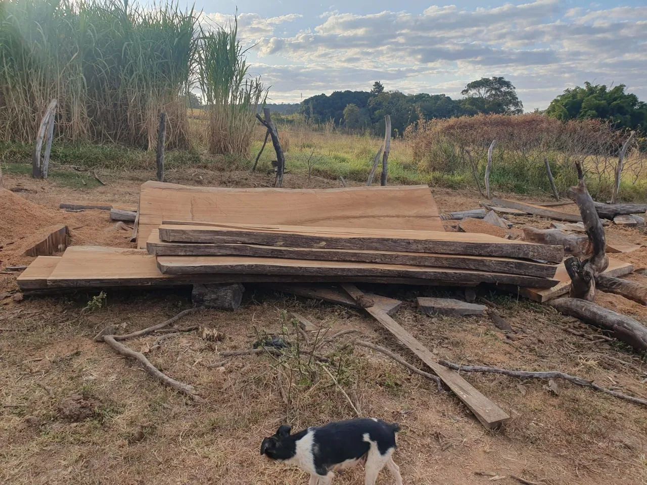 Prancha para mesa rústica  - Foto 2