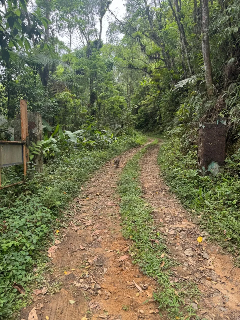 Fazenda em tapirai 29 alqueires escritura definitiva registrada