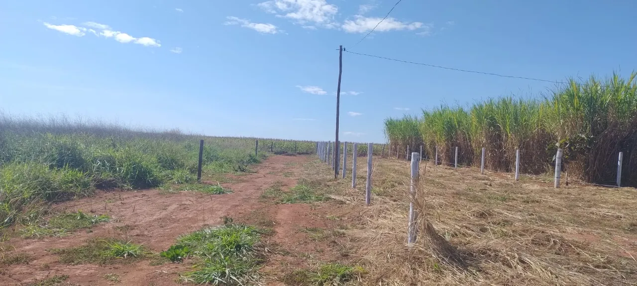 Chácaras em Hidrolândia a 1km e meio do asfalto!
