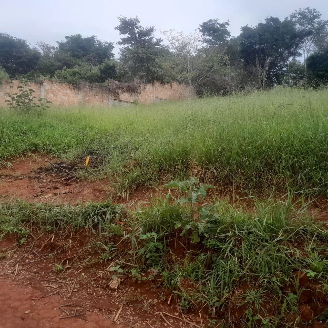 Lotes de 300 mts - Foto 3