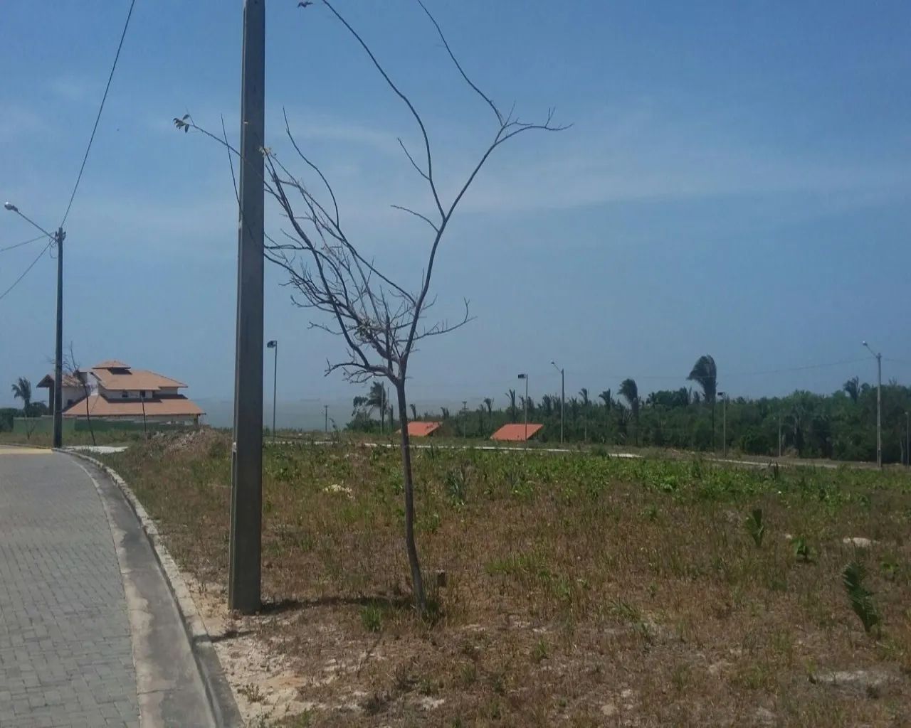 TERRENO RURAL em SÃO LUÍS - MA, ARAÇAGI - Foto 4