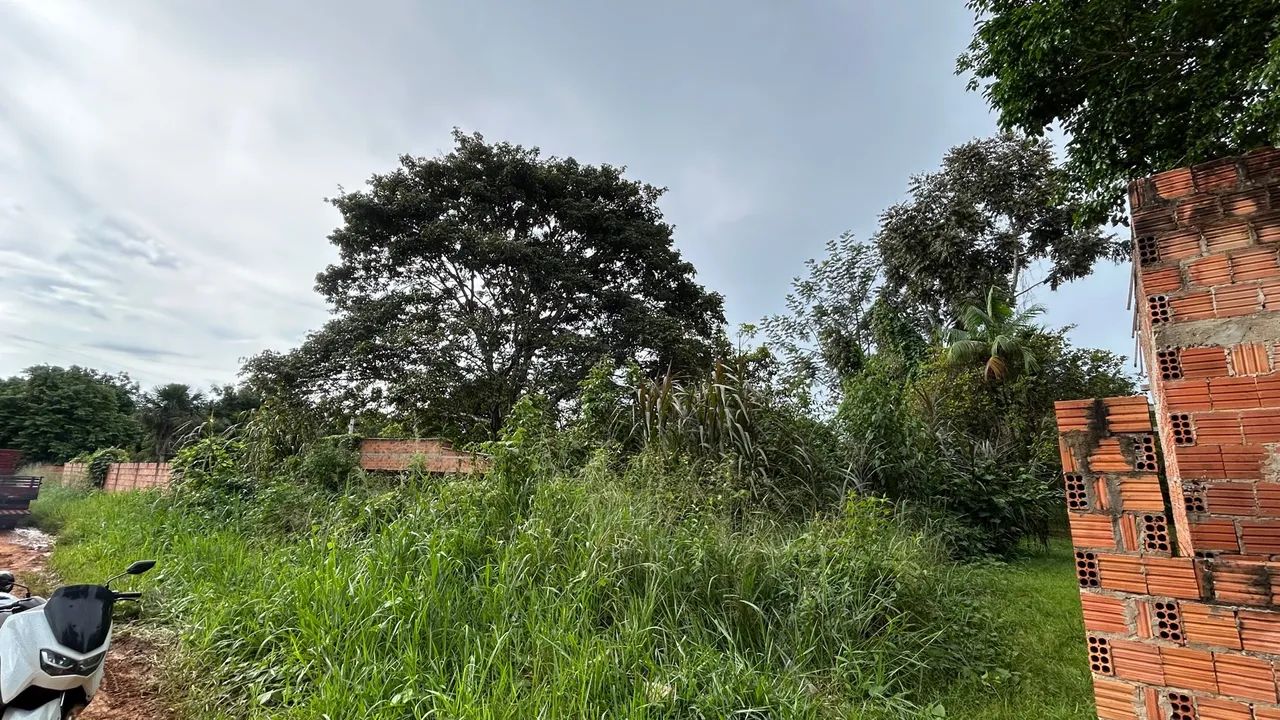 Terreno Vila Acre - Foto 3