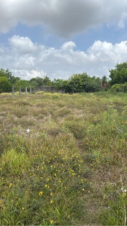 2 lotes perto do trevo do francês  