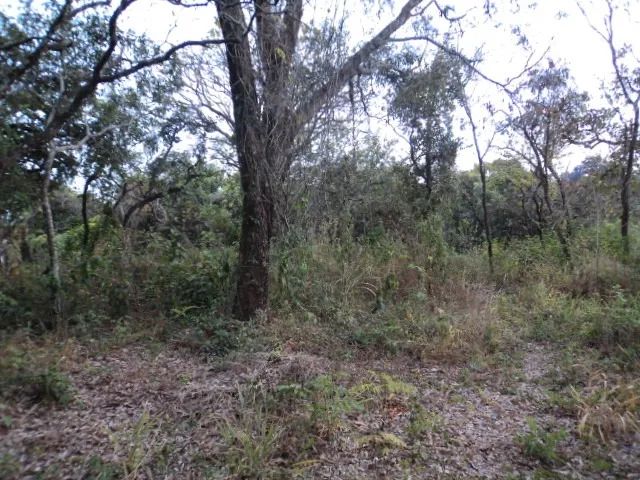 Juatuba - Parque Alvorada - Foto 4