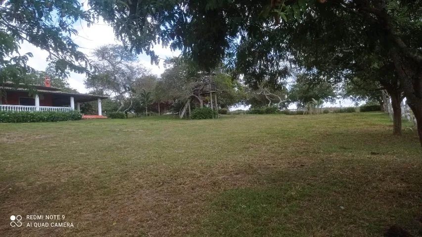 FAZENDA EM SÃO GONÇALO - 50 TAREFAS - Foto 14