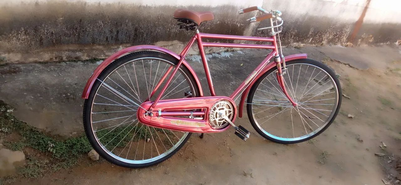 Bicicleta Philips 