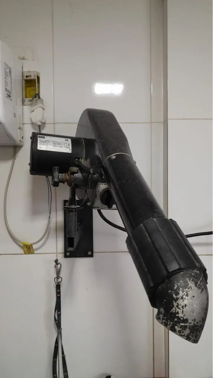 Secador de pelo para pet shop