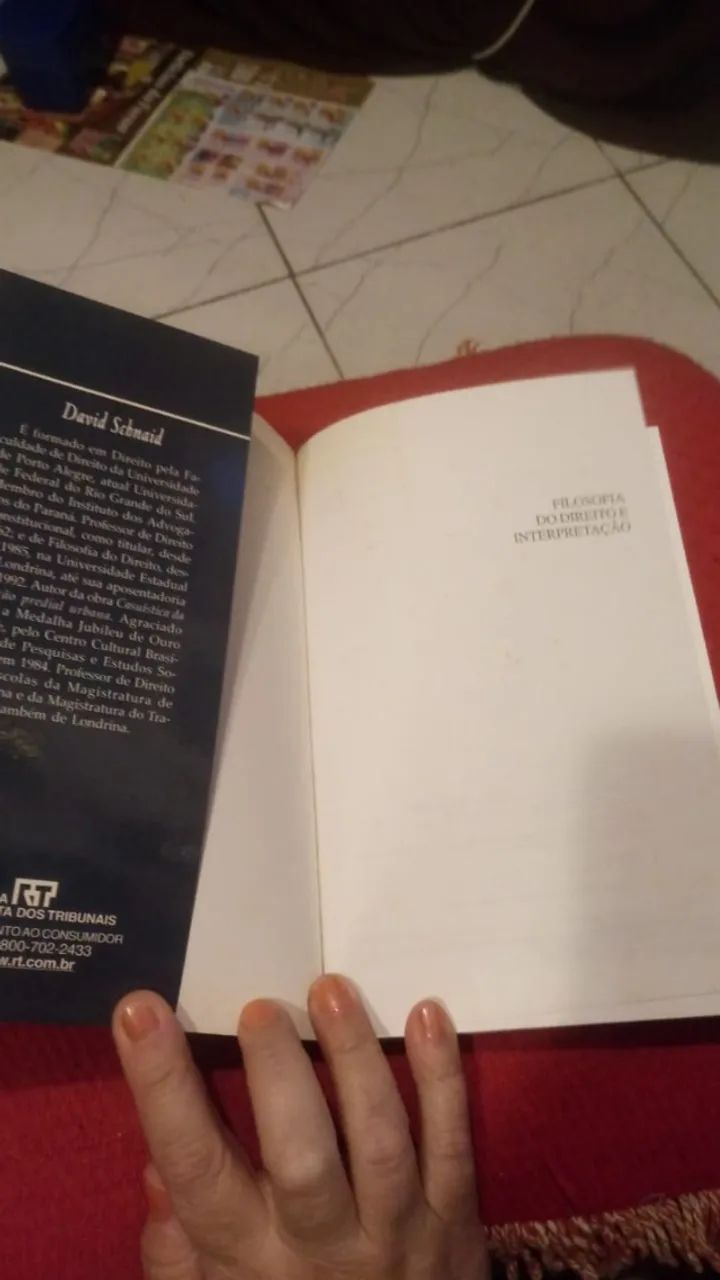 Filosofia do Direito e Interpretação  David Schnaid - Foto 2