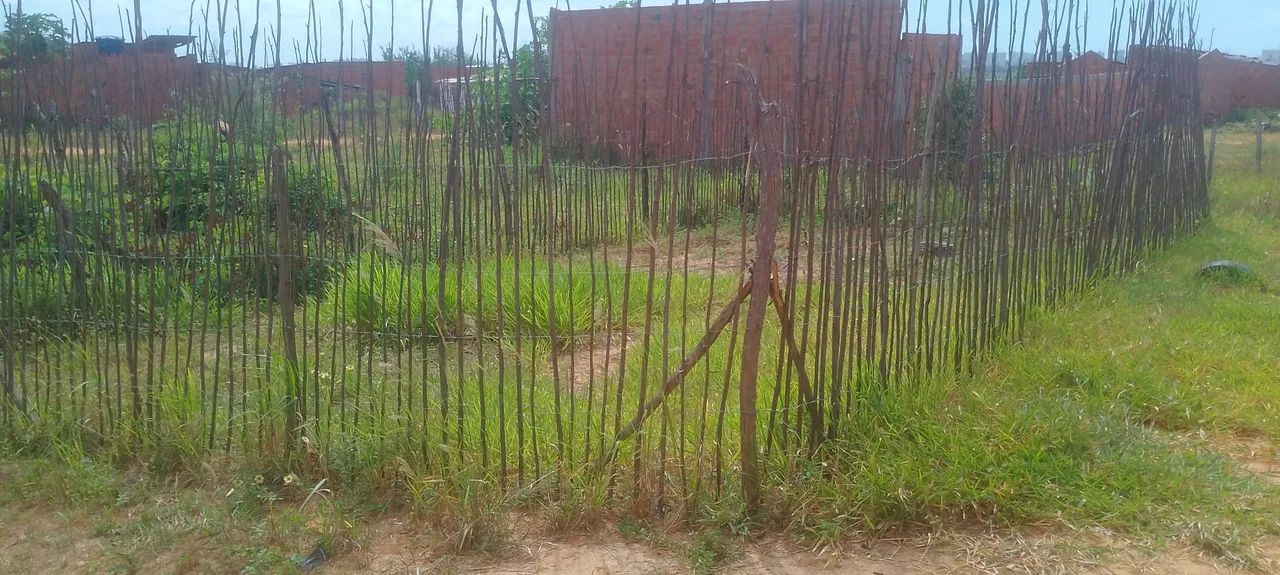 Terreno e loteamento