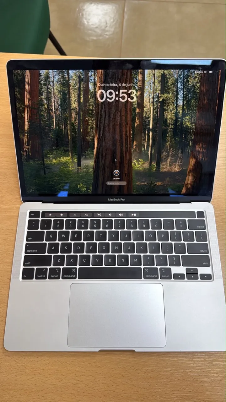 Apple MacBook Pro 13