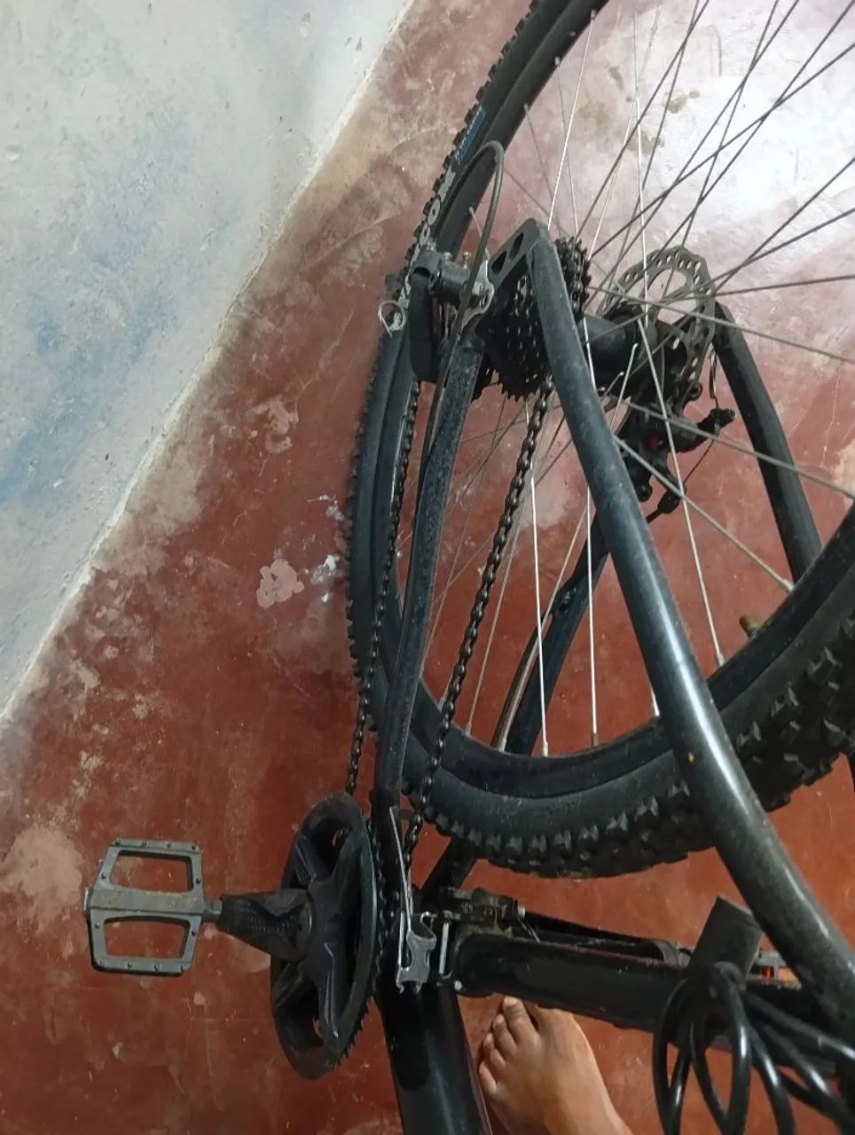 Bicicleta 