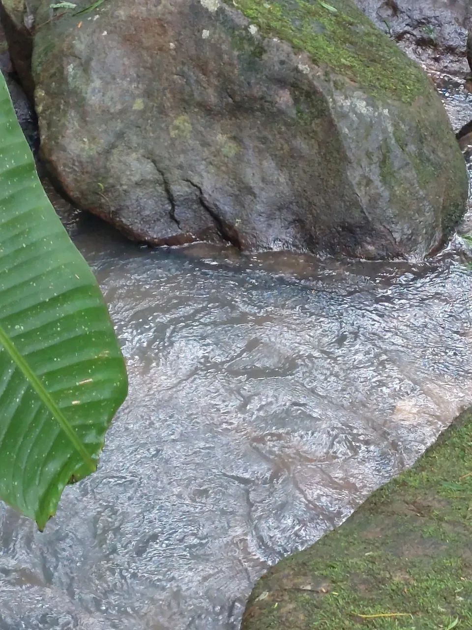 Sitio abundante em água - Foto 2