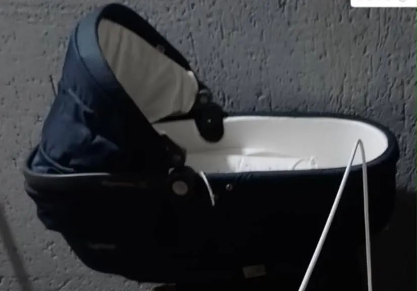 Vendo Moisés ou troco por fralda M