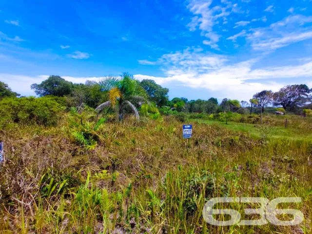Terreno | São Francisco do Sul | Ervino