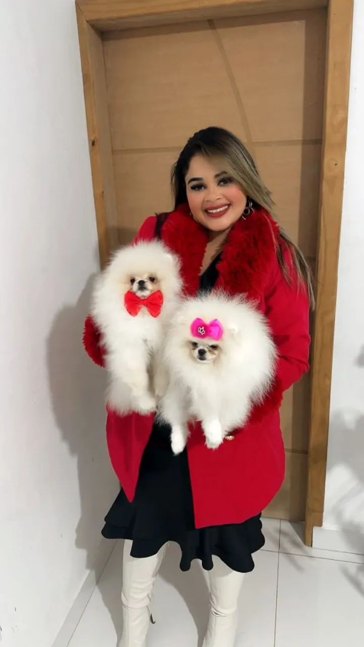 Lulu da pomerania