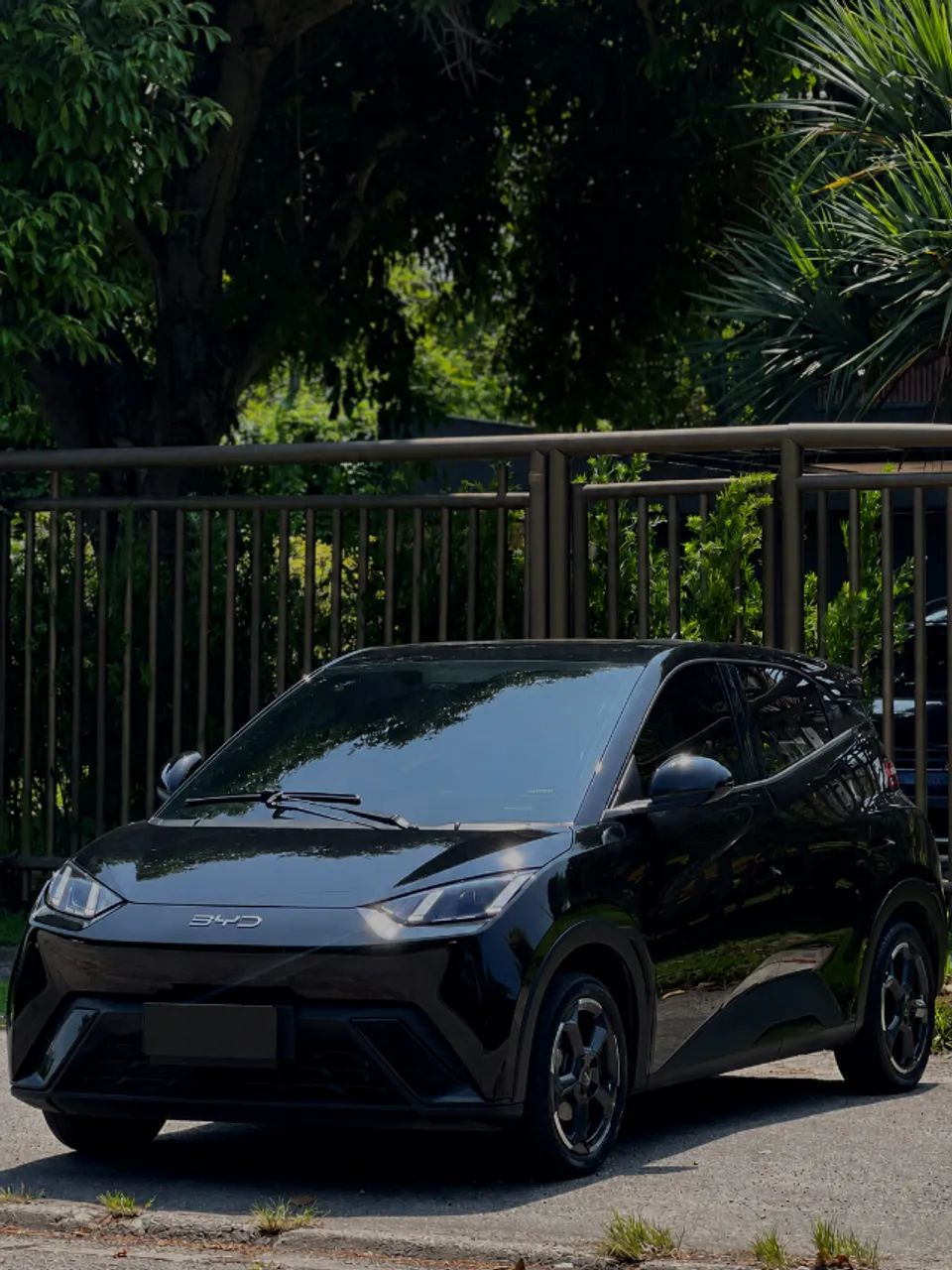 BYD Dolphin EV (Elétrico) 2025 - Foto 2