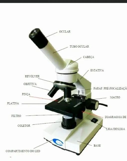 microscopio mono - Foto 3