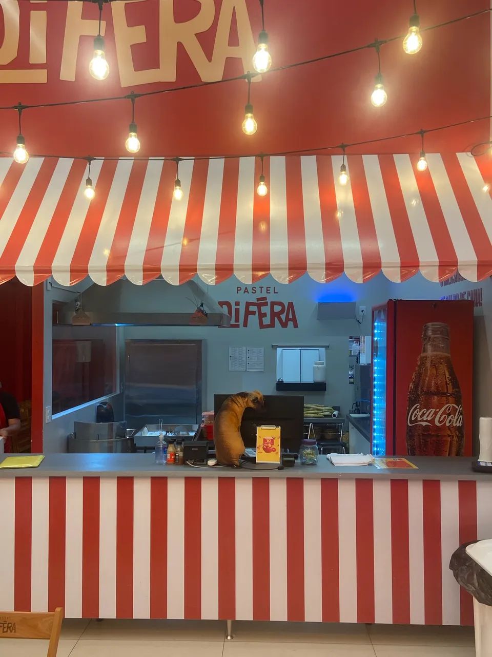 Repasse de negócio em Palmas 