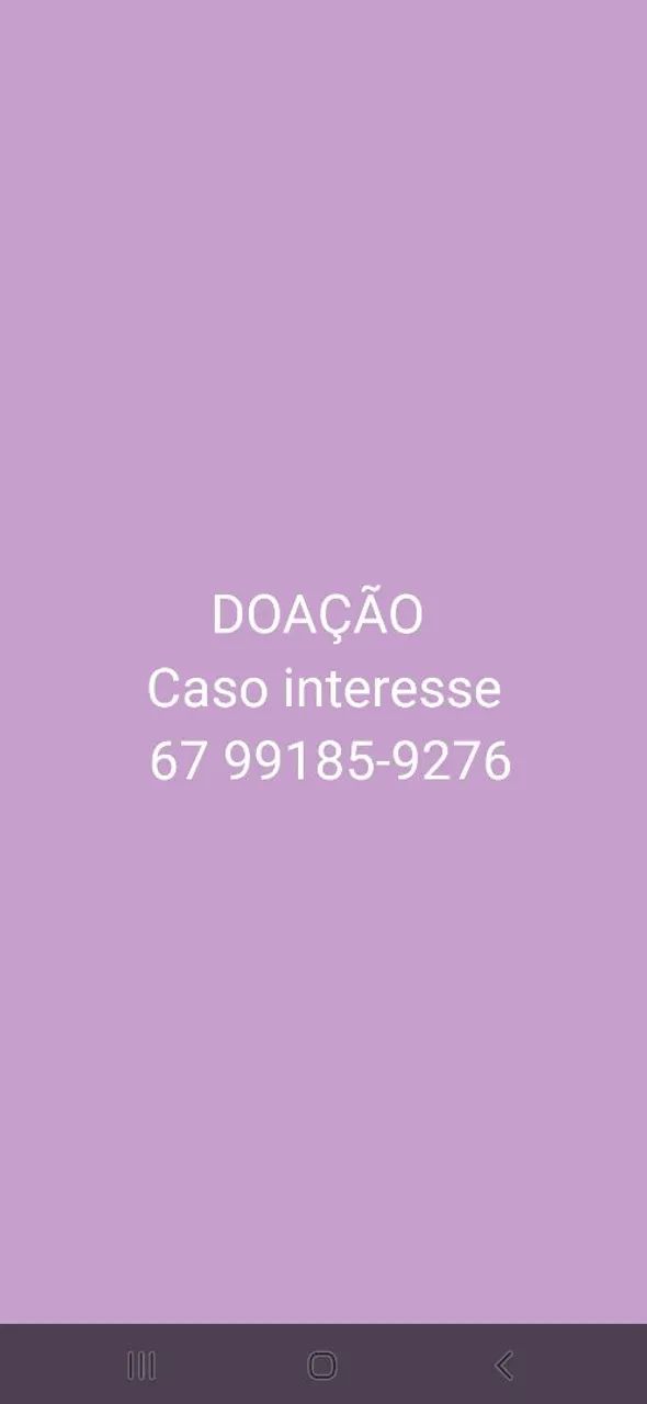 Filhotes