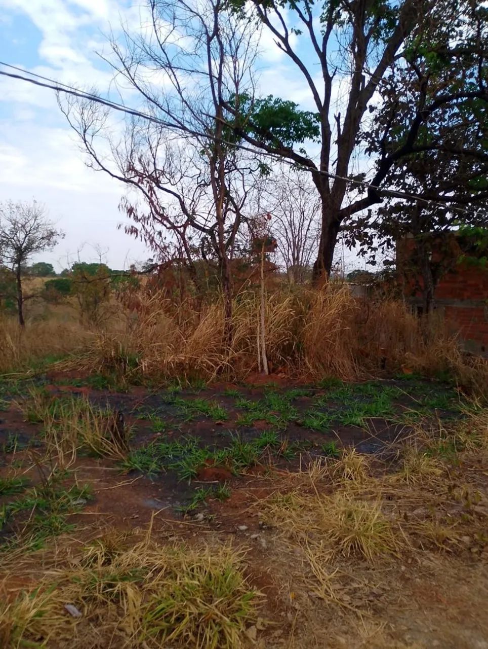 Vendo lote de chácara Guapó  - Foto 2