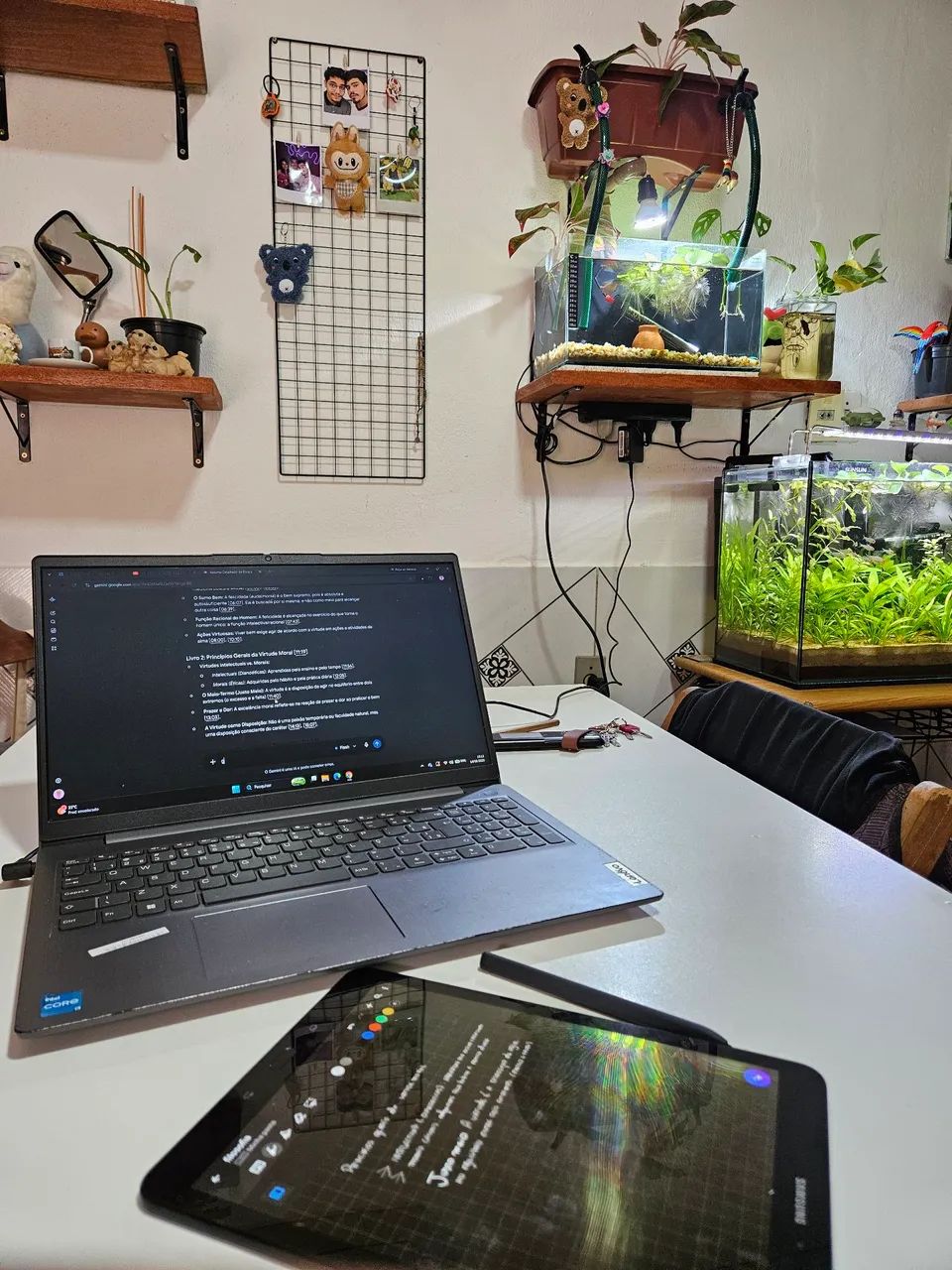 Notebook lenovo ideapad 3i 