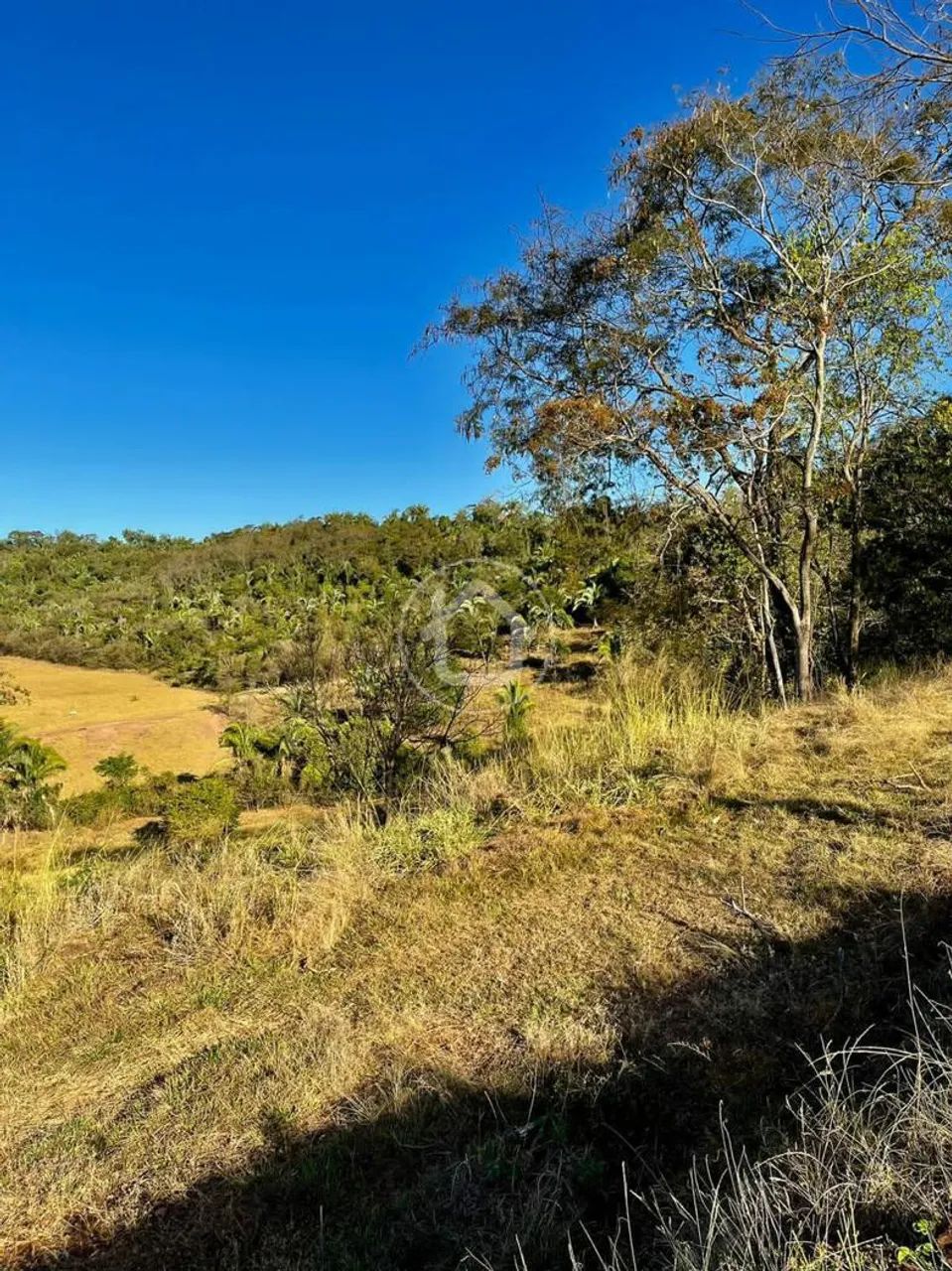 FAZENDA EM JACIARA - Foto 5