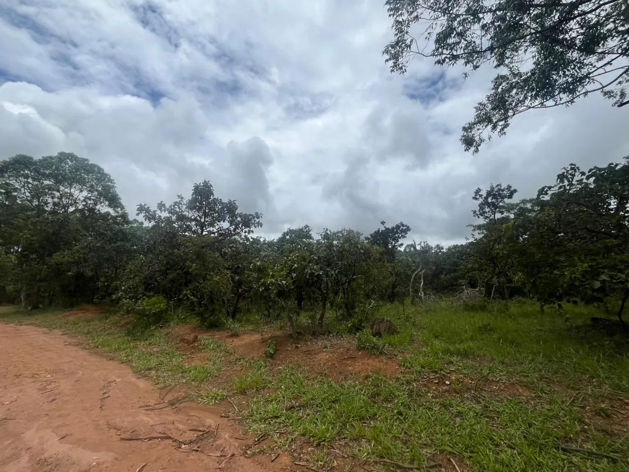TERRENO EM ALEXÃNIA - Foto 3