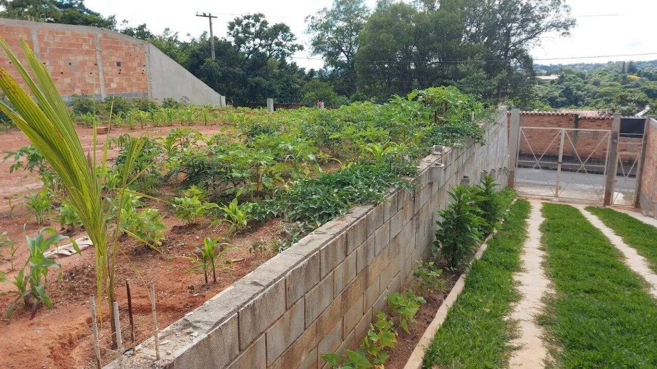 Lote com 1000 m² para venda - Braúnas - Foto 3