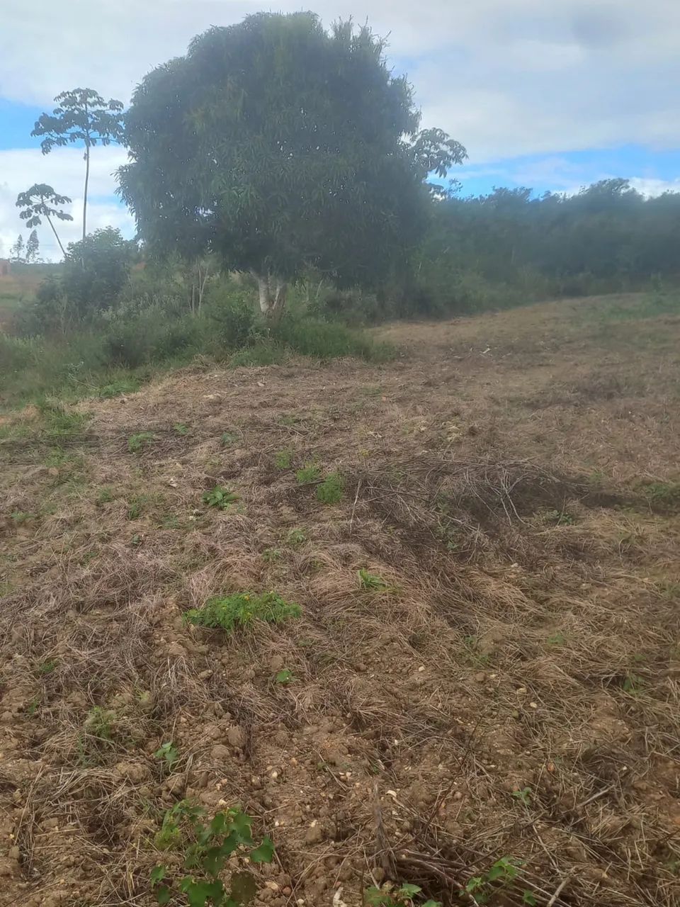 Terreno em salgado  - Foto 4