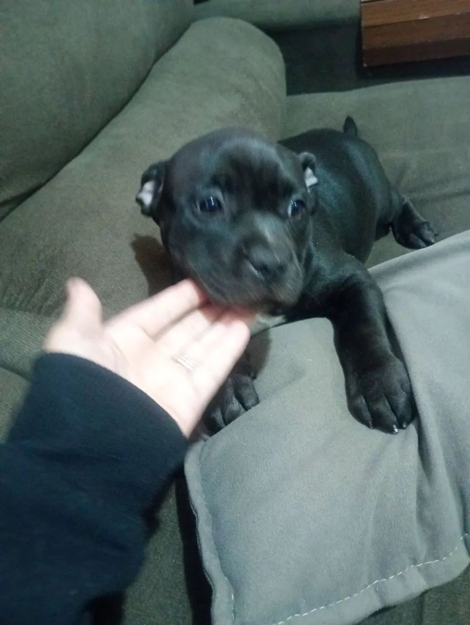 Venda - Foto 2
