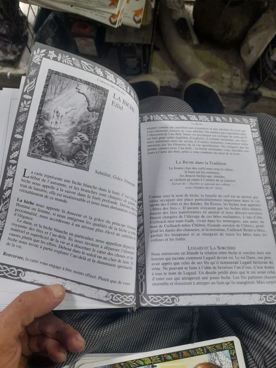 Cartas Oraculos - Foto 2