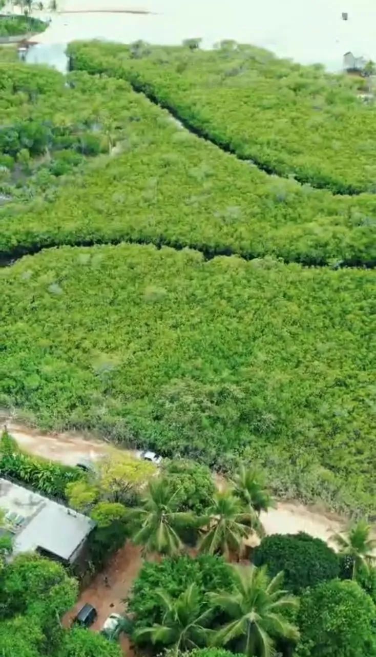 Lote vista mar em Trancoso  - Foto 3