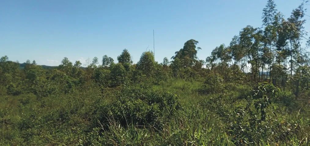 Terreno com 20.000 m² em Desterro de Entre Rios  - Foto 5