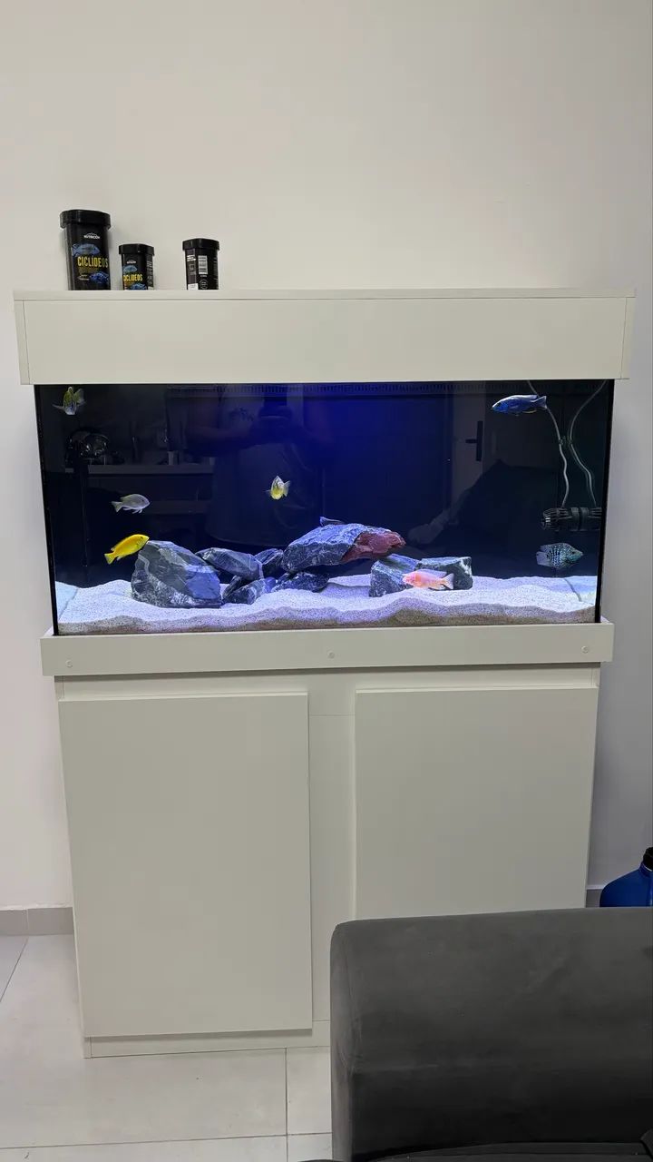 Aquário 200 litros com sump completo - Foto 5