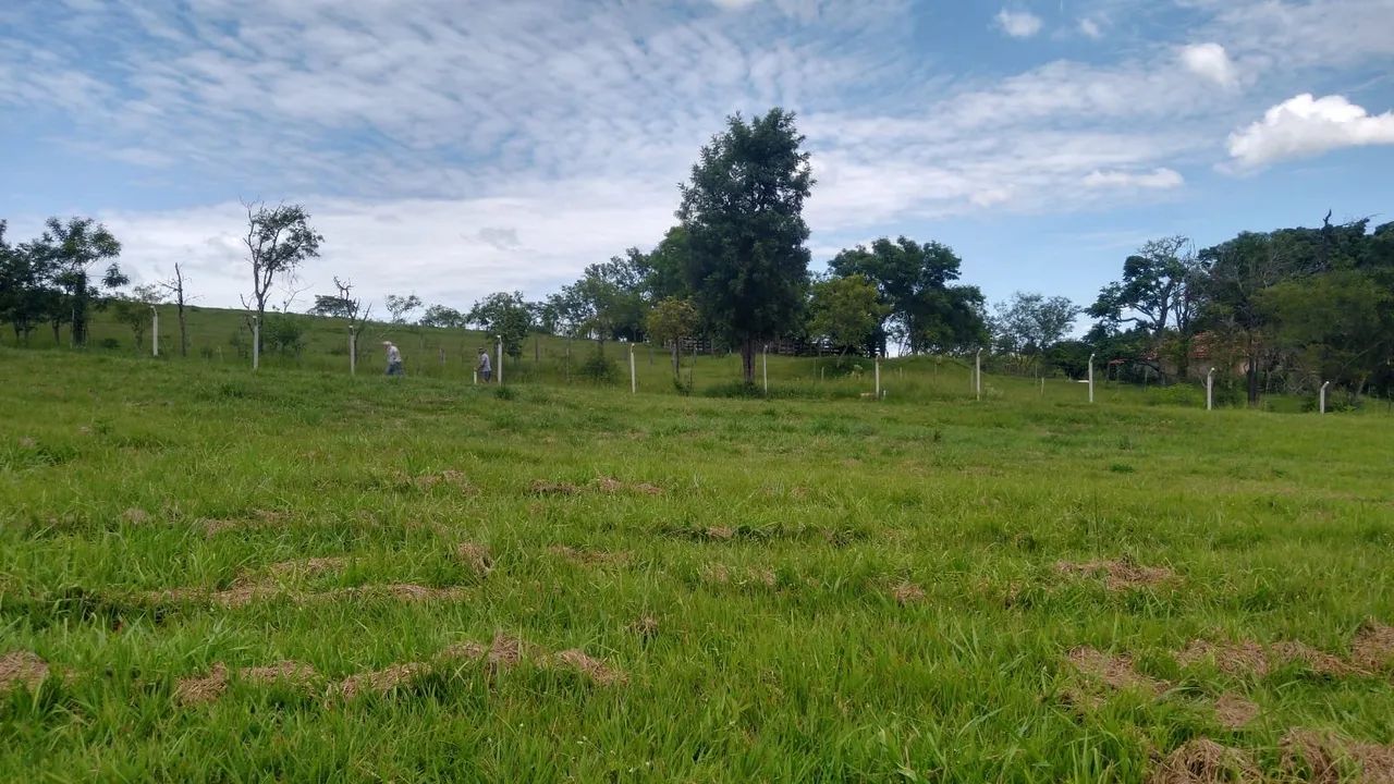 Foto - Pirapozinho - Jardim Vantini