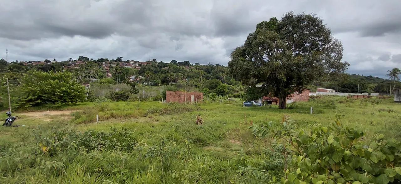 TERRENO IGARASSU ESCRITURADO - Foto 4