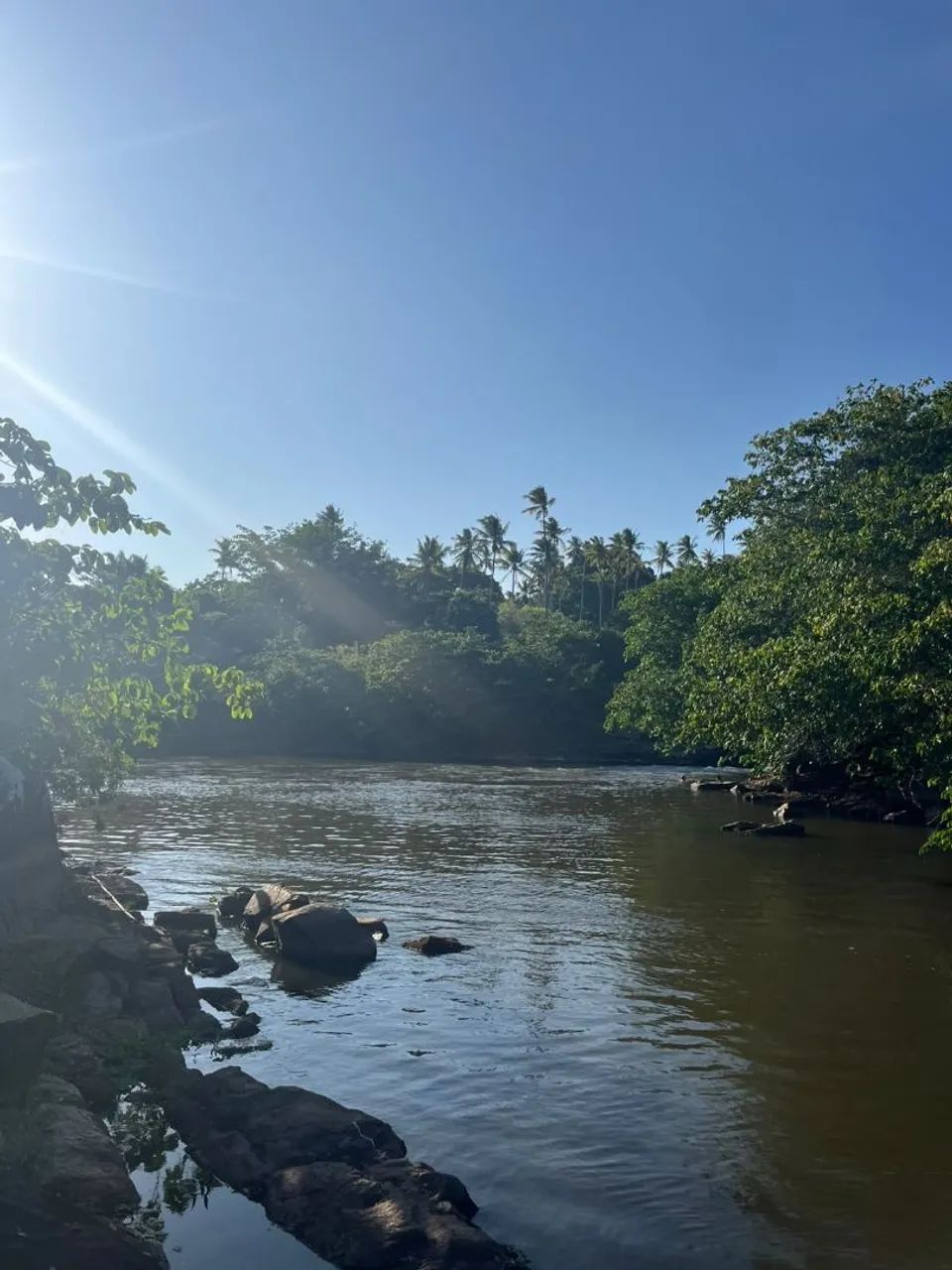 Vende-se Sitio em Barra de Pojuca