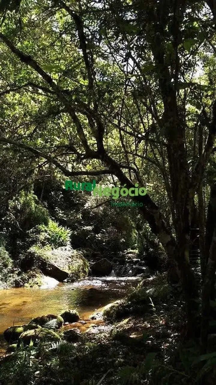 SÍTIO FORMADO COM RIO DE AGUAS CRISTALINA EM ITAMONTE-MG - Foto 2