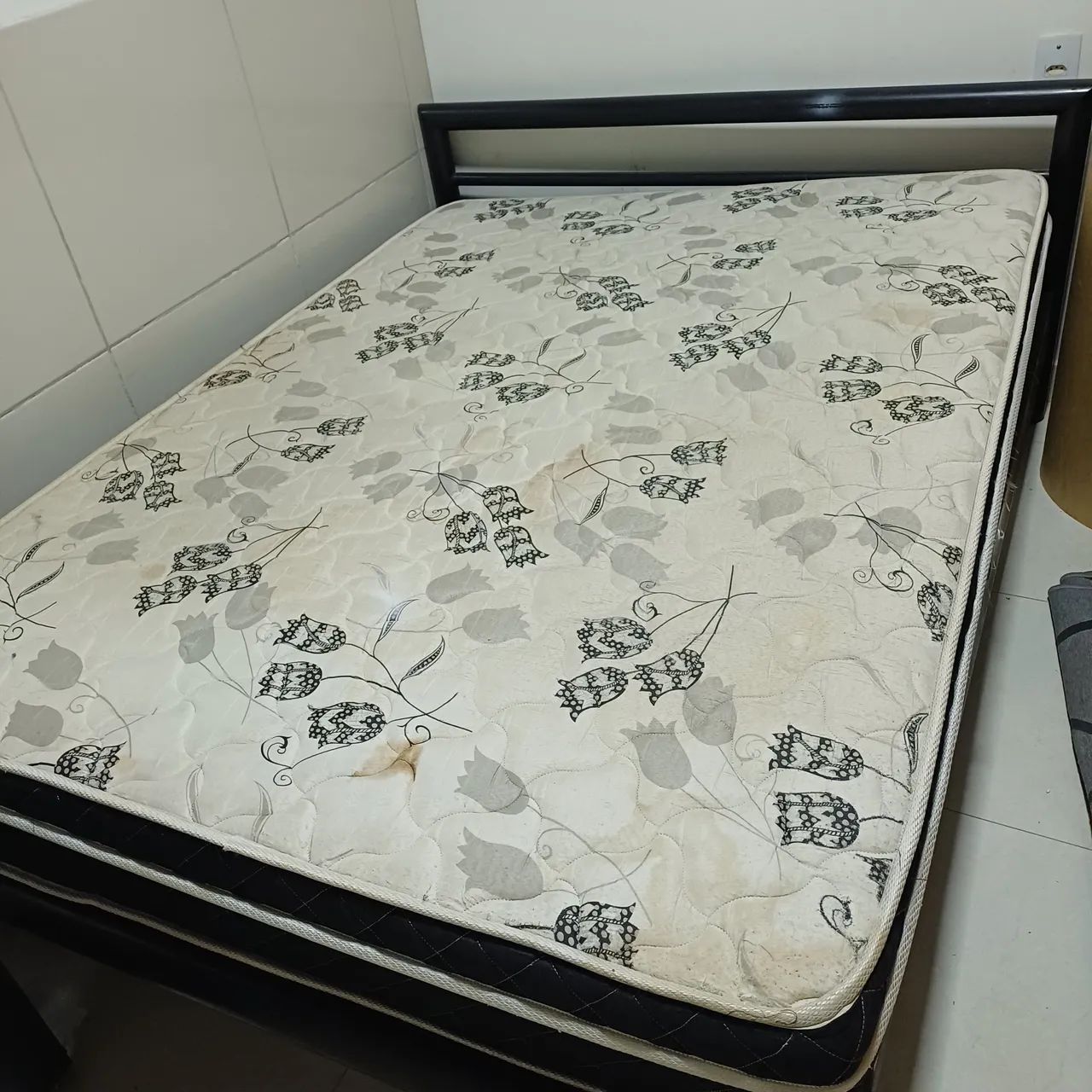 Cama