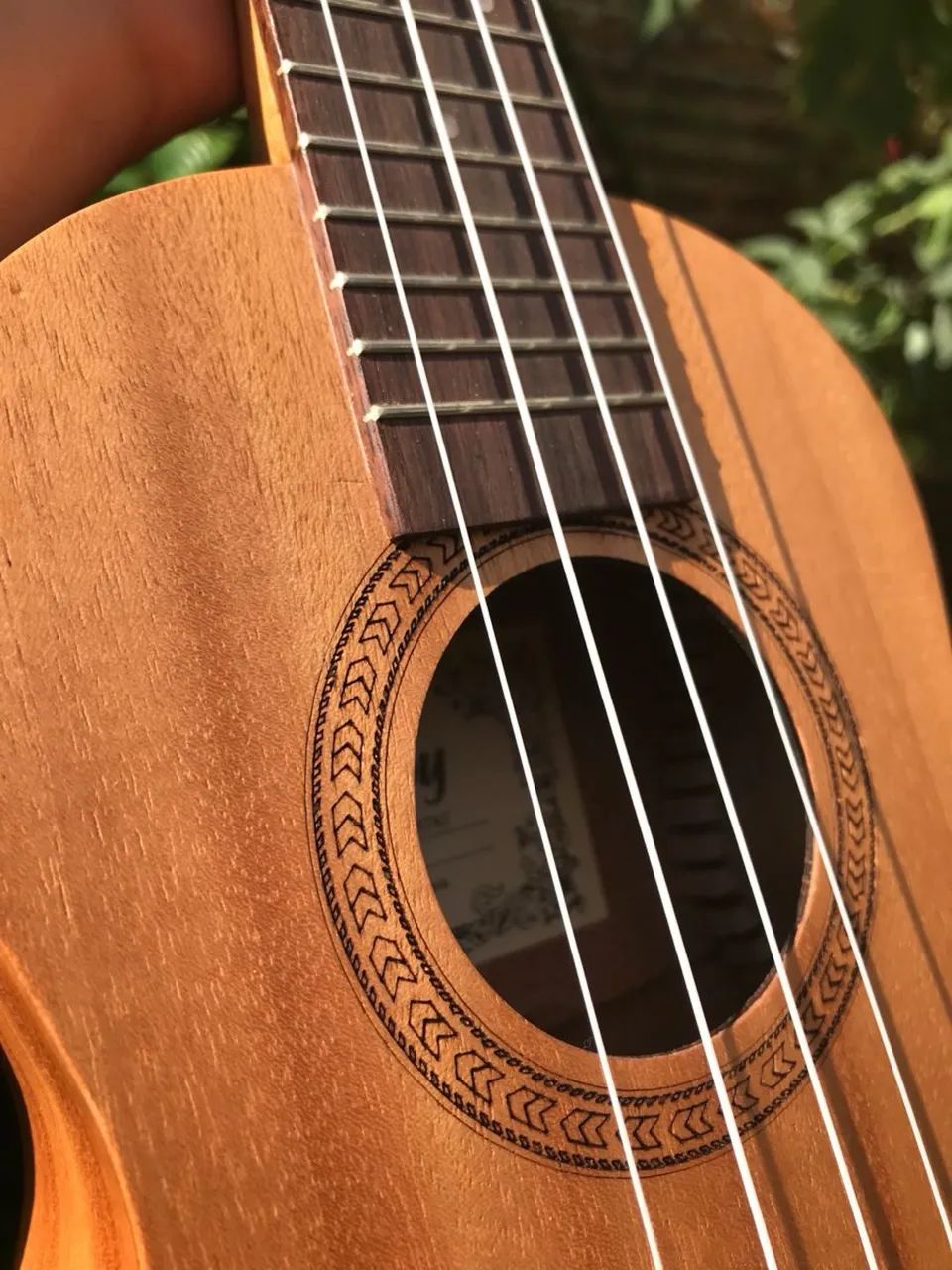 Ukulele Shelby
