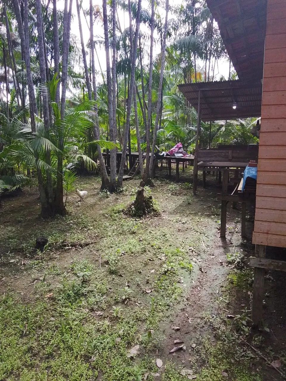 Vendo casa - Foto 2