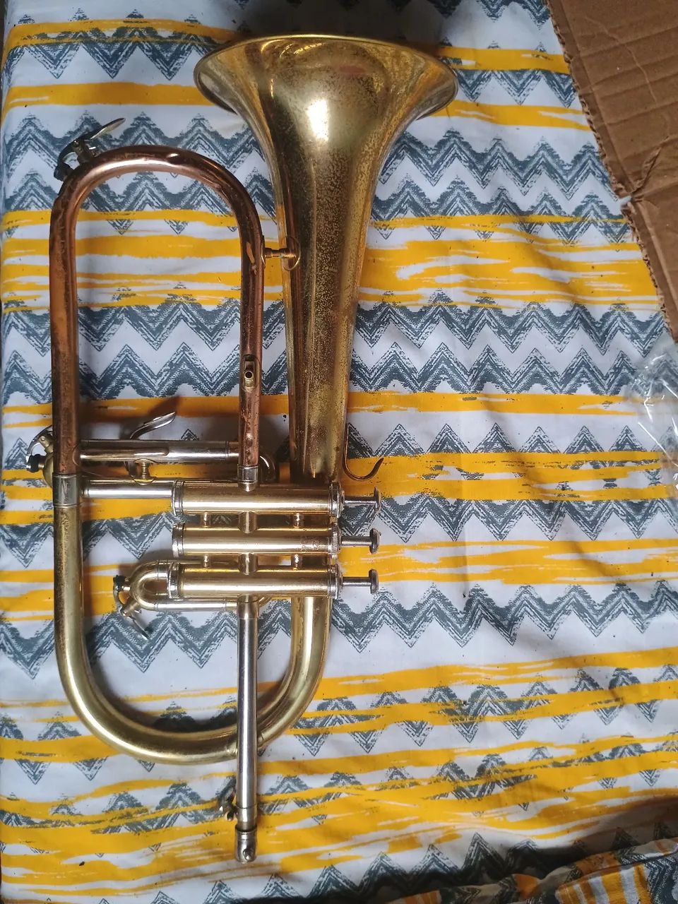 Flugelhorn dolphin