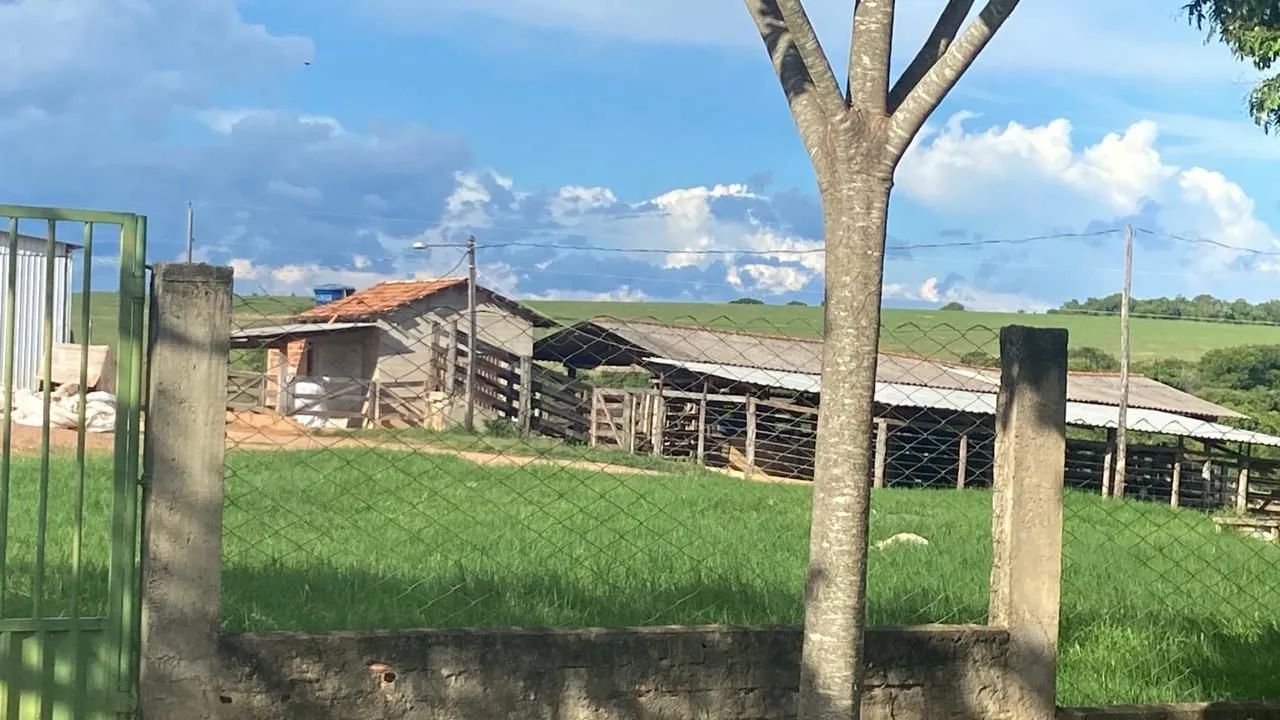 Fazenda Extra 50 Alqueires - Indiara! - Foto 3