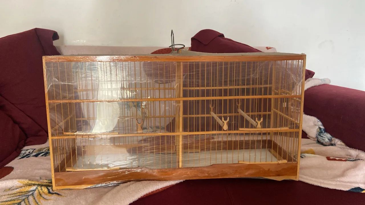 Voador gaiola 