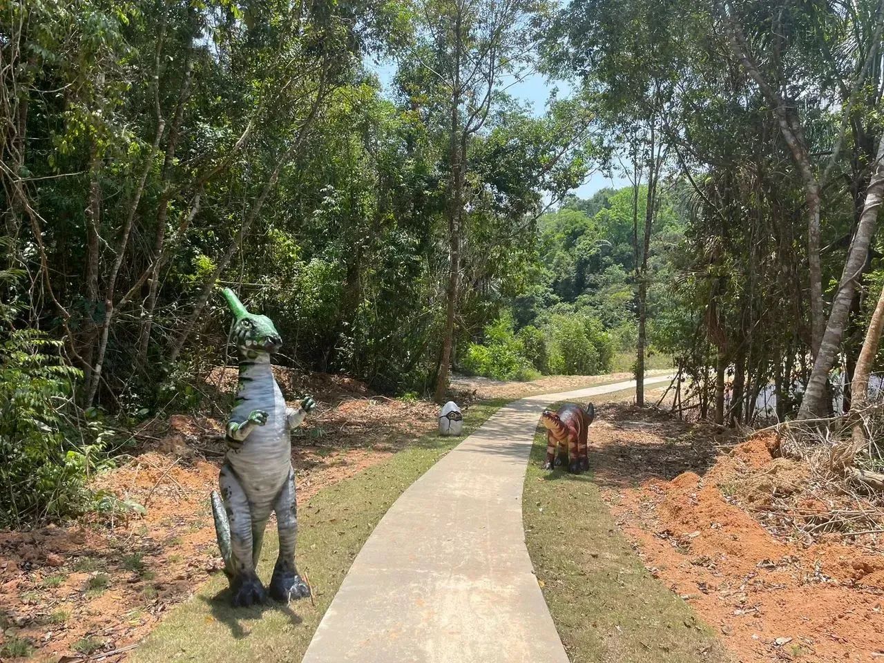 Transferência de lotes na chácara Maiápolis - Foto 12