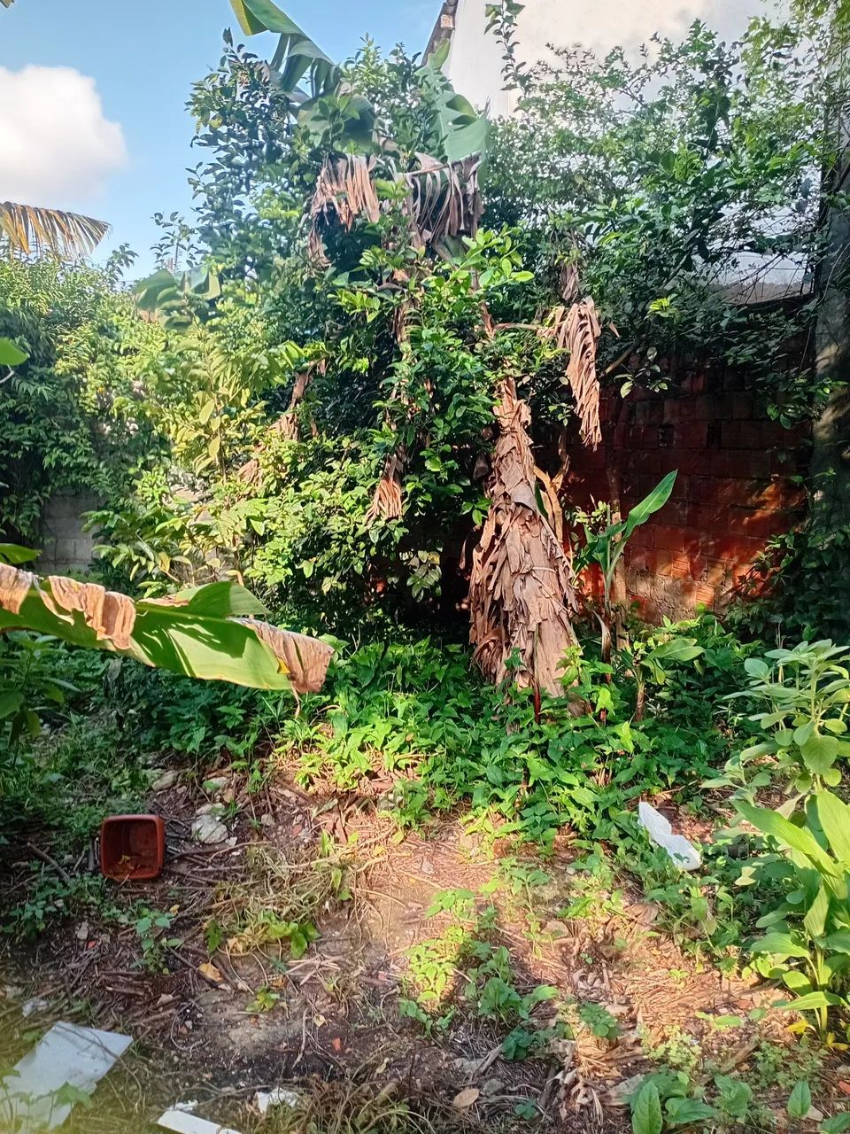Sobradinho vila aurea  - Foto 2