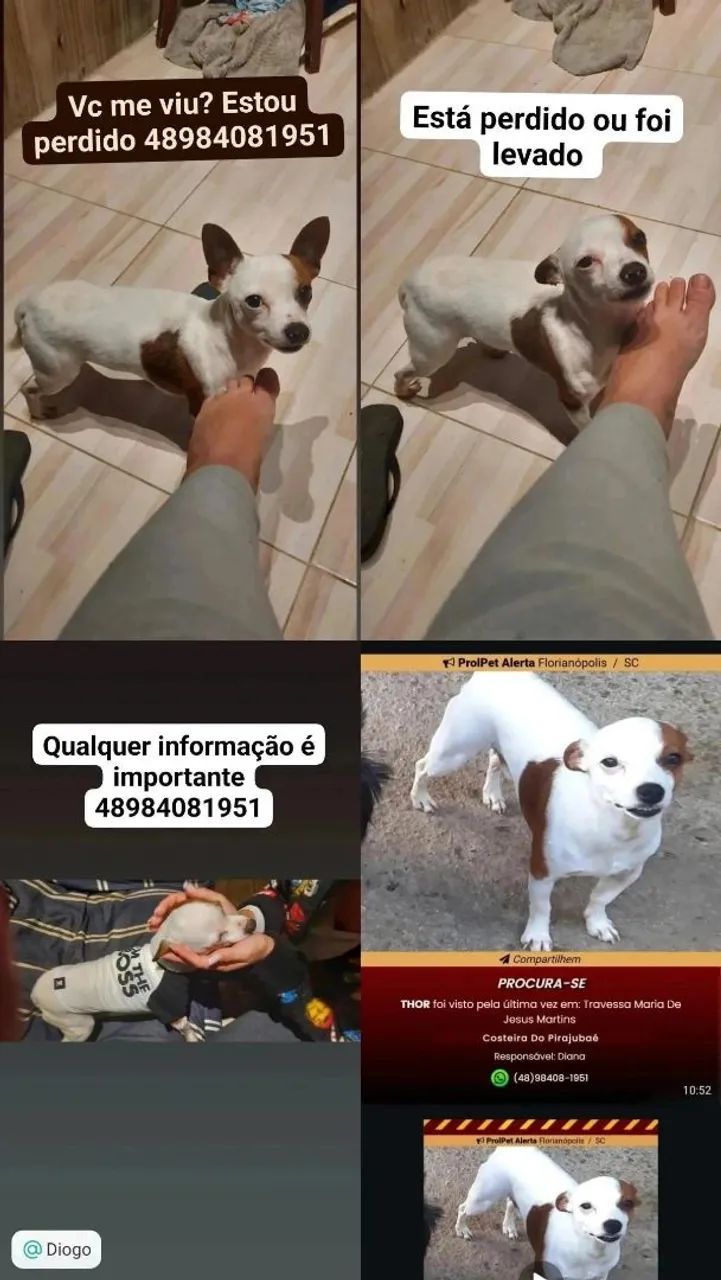 Procuro pago recompensa