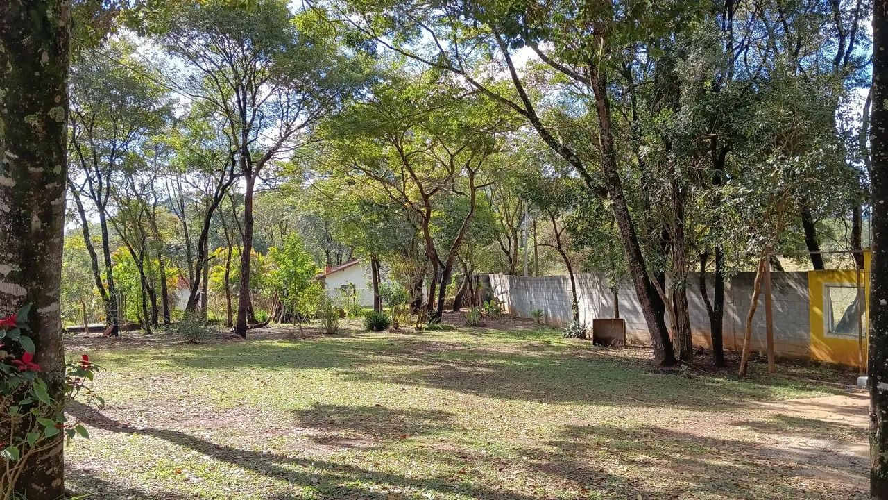 Chacara Km 57 Rod Castelo Branco 5000m2 totalmente plana - Foto 3