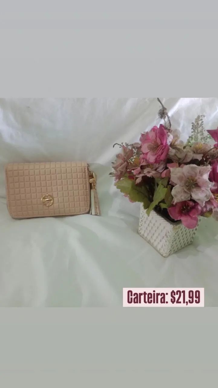 Carteira feminina 